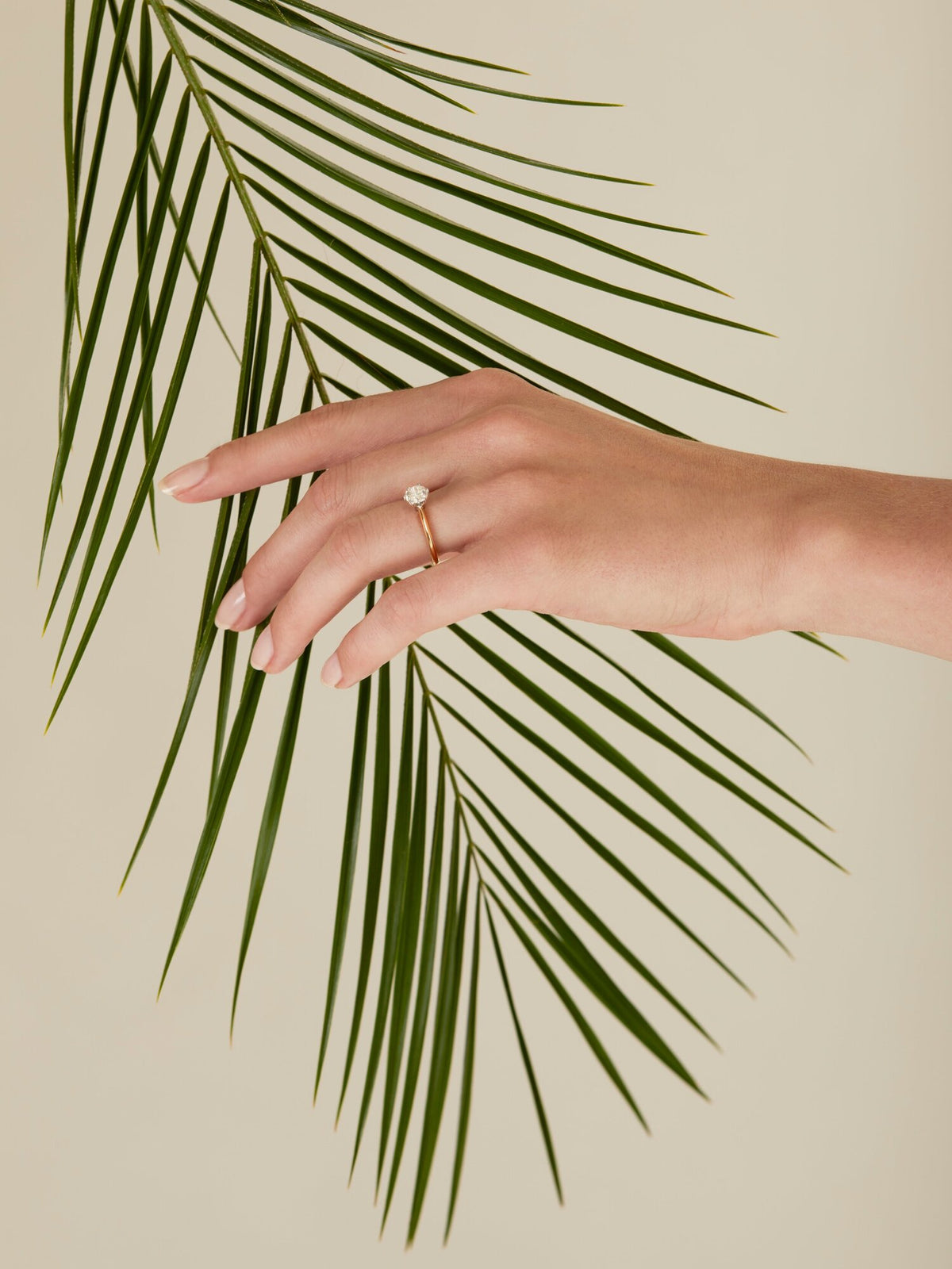 Sustainable Diamonds: Everything You Need to Know